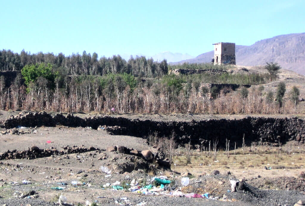 champs d'arbustes, tour de guet, détritus, cultures abandonnées