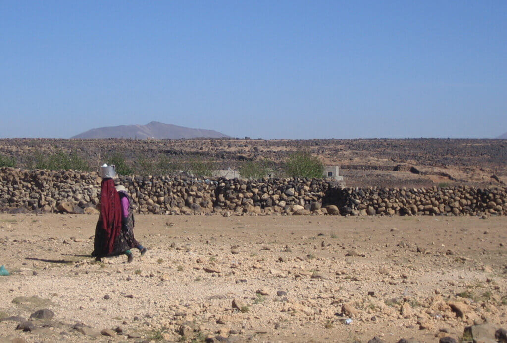 FEMMES VOILÉES TRADITIONNELLES YEMEN ARBRES A QAT DESERTIFICATION